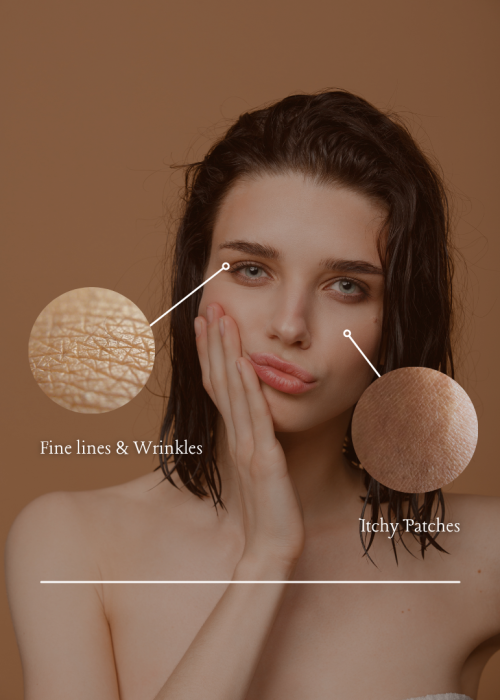 Brown Simple Photo Women's Skin Tips Instagram Post (810 x 1080 px)